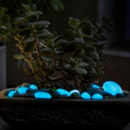 10 Pcs Large Glow in the Dark Garden Pebbles