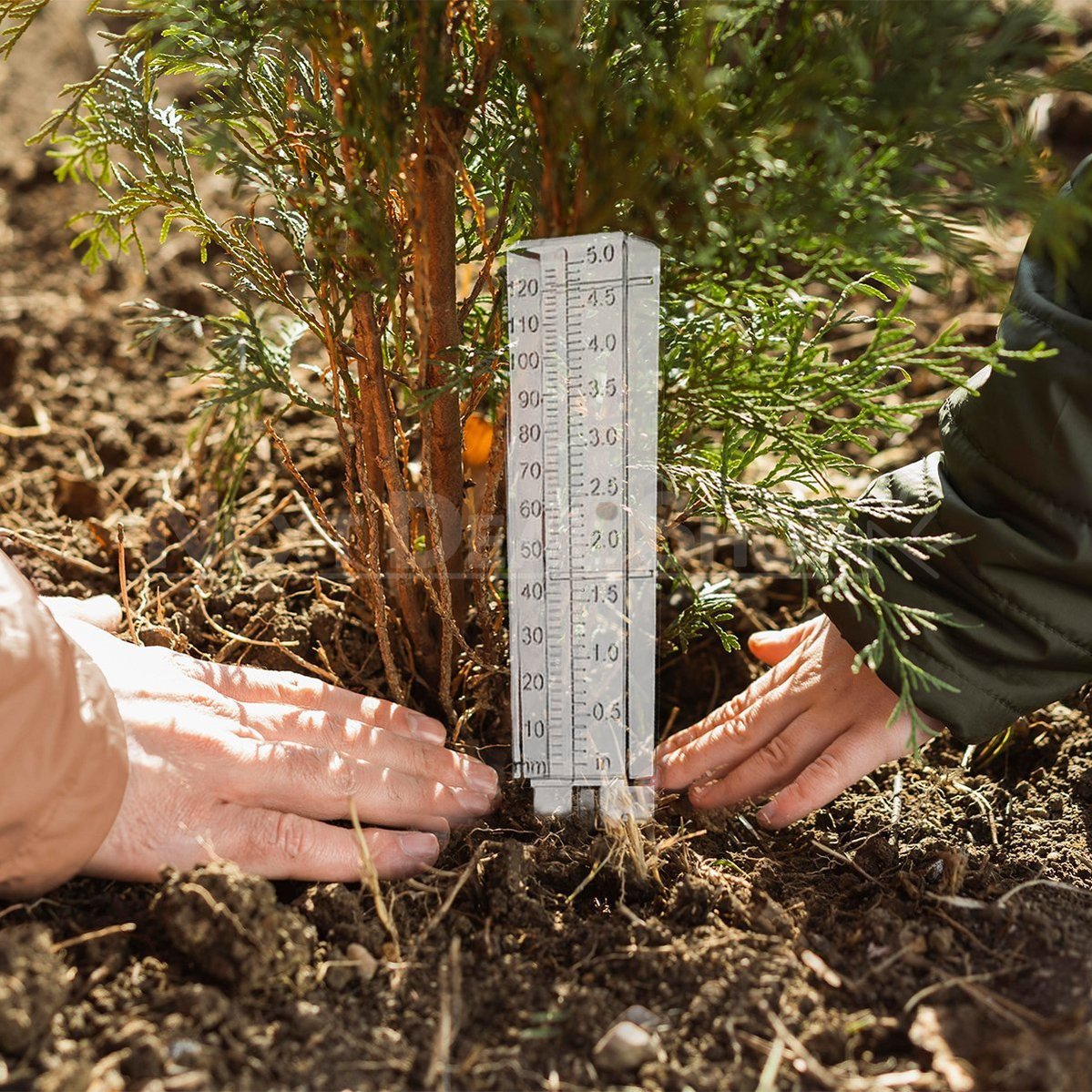 Garden Rain Gauge