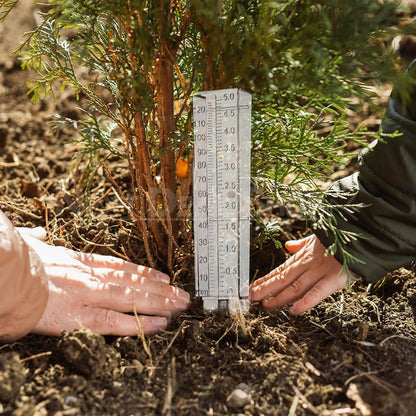 Garden Rain Gauge
