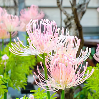 Solar Powered Flower Garden Stake Light