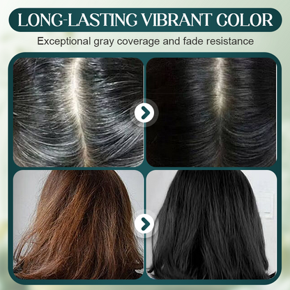 2025 Mild Formula Long Lasting Hair Dye Set